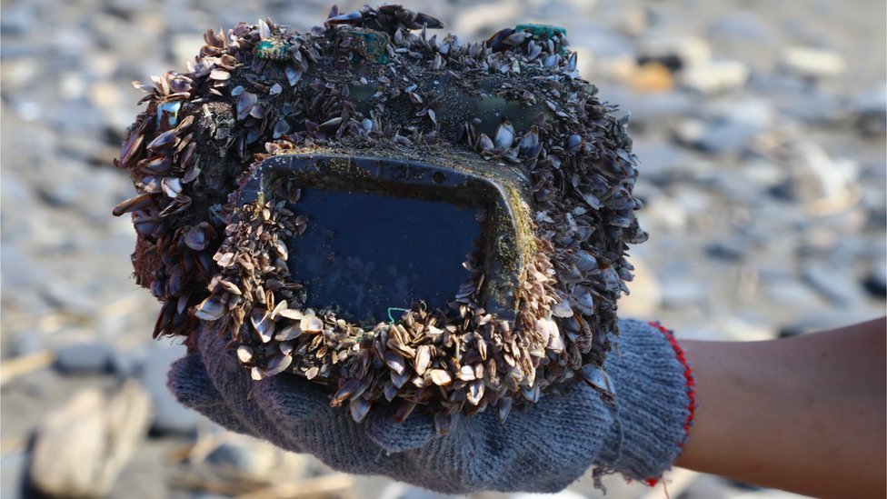 Una cámara recubierta de crustáceos