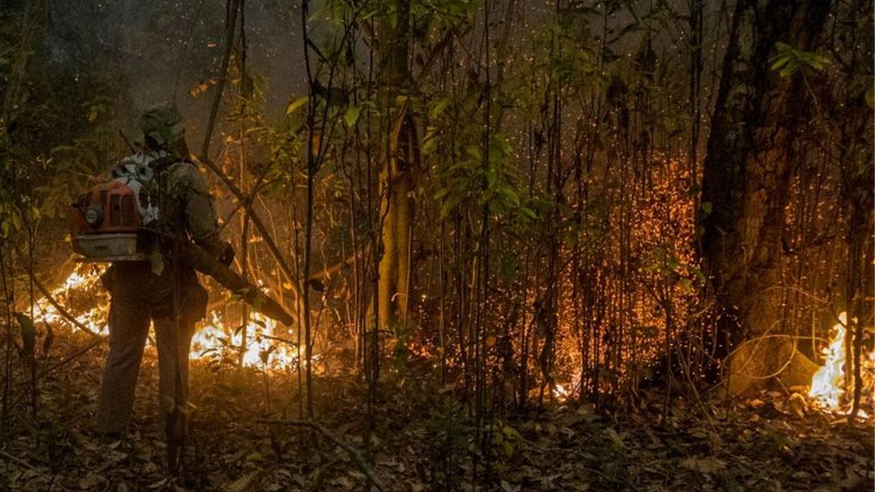 Fumaça de incêndios florestais nos EUA é mais tóxica do que se pensava