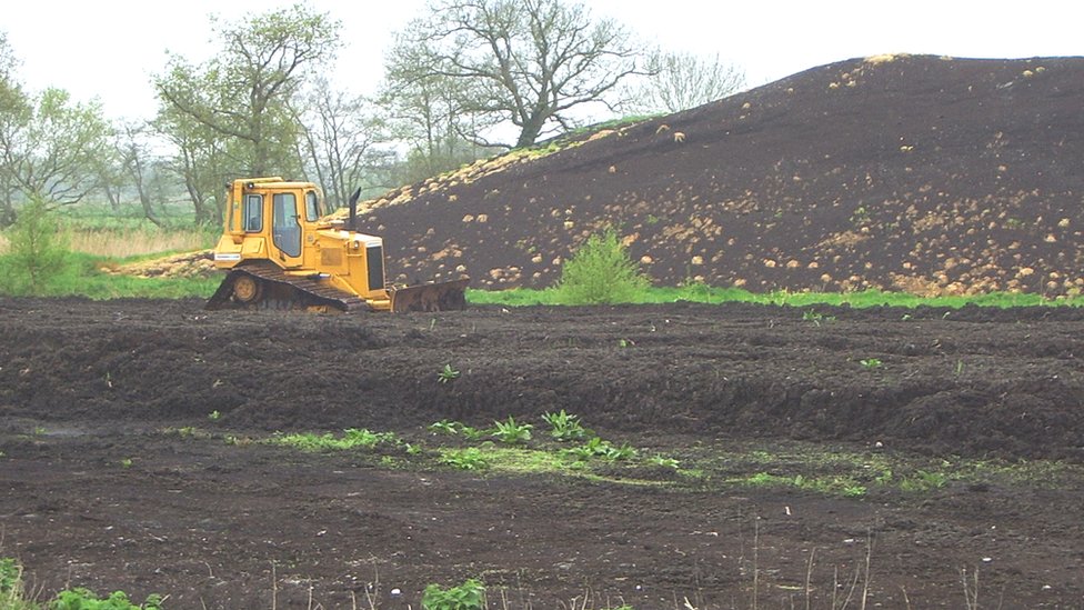 England's gardeners set for peat compost ban in 2024
