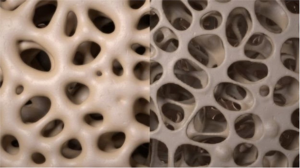 Jinsiy aloqa Yoshkar Ola Mari El Jinsiy aloqa Yoshkar Ola Mari El