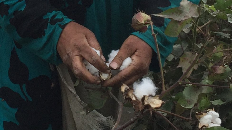 Ayollar vaginal oqindi porno video