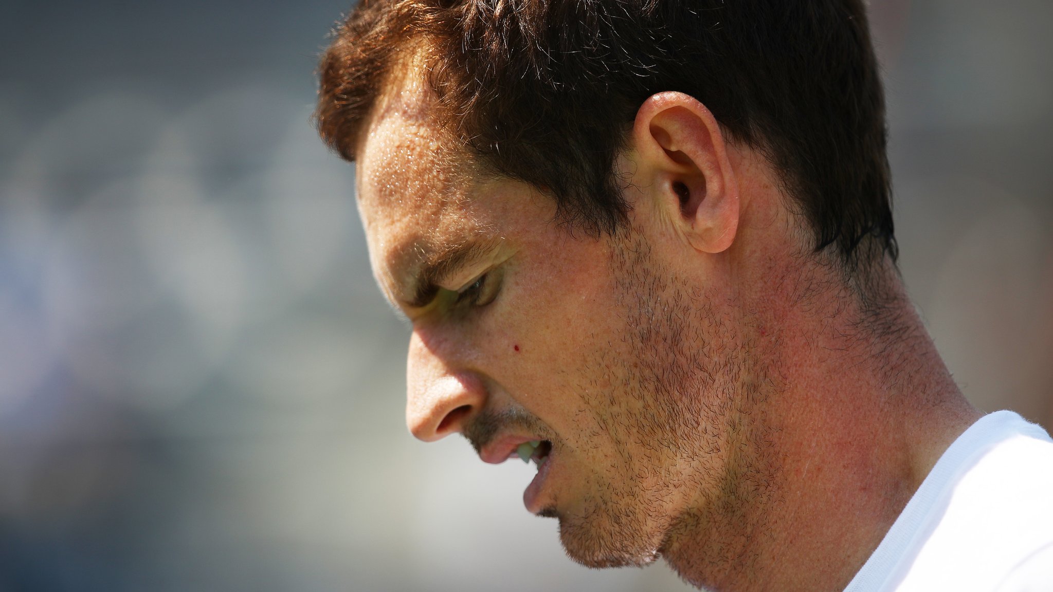 Injured Murray not ready for ATP Challenger wildcard
