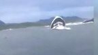 Video image