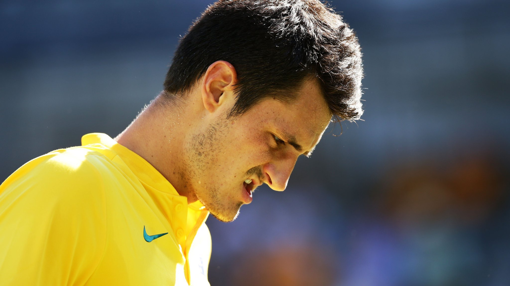 Tomic 'trying to damage Australia Davis Cup team culture'