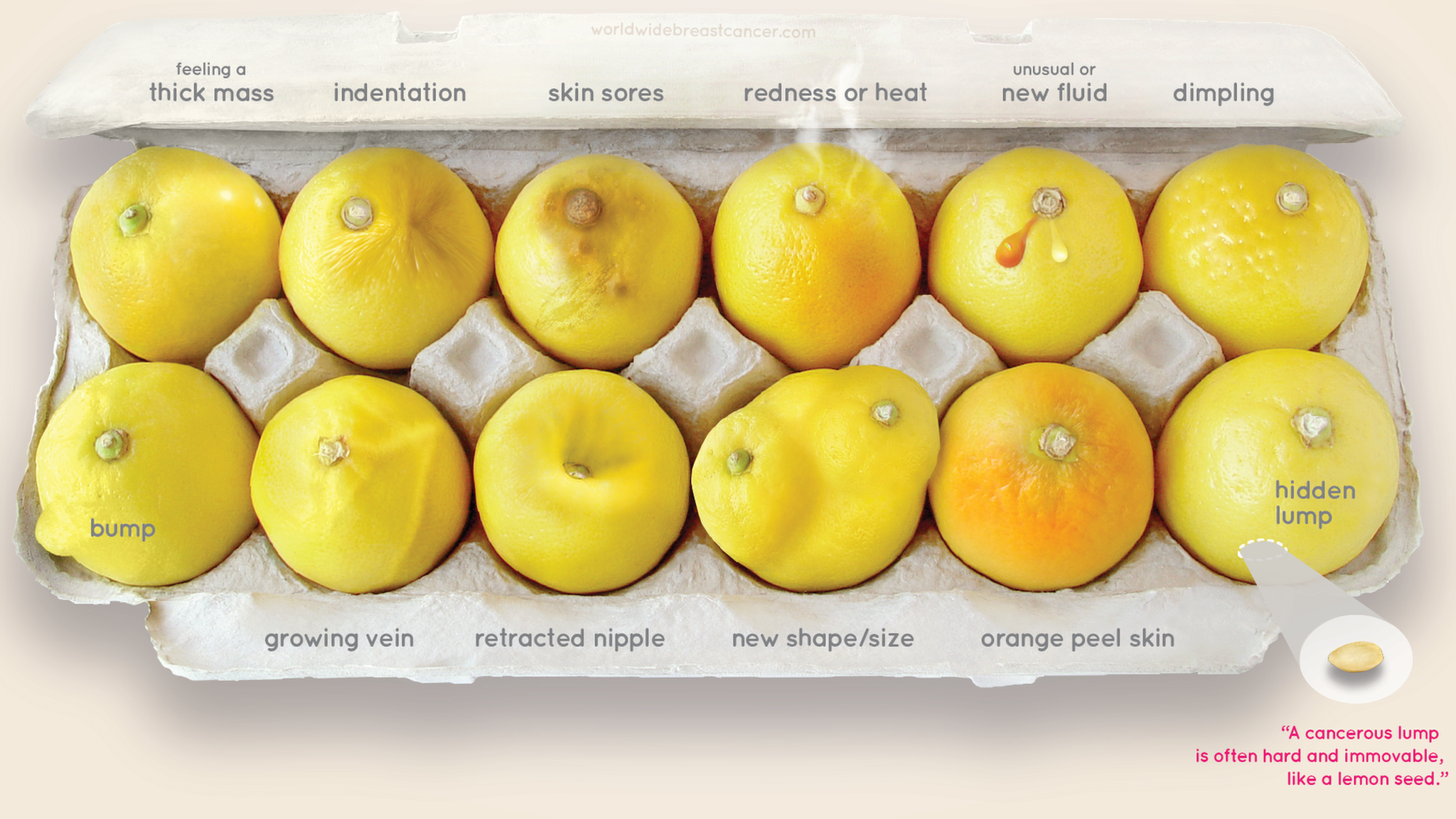 Как лимоны помогают распознавать ранние признаки рака груди - BBC News  Русская служба