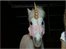 VIDEO: Escaped 'unicorn' rescued in California