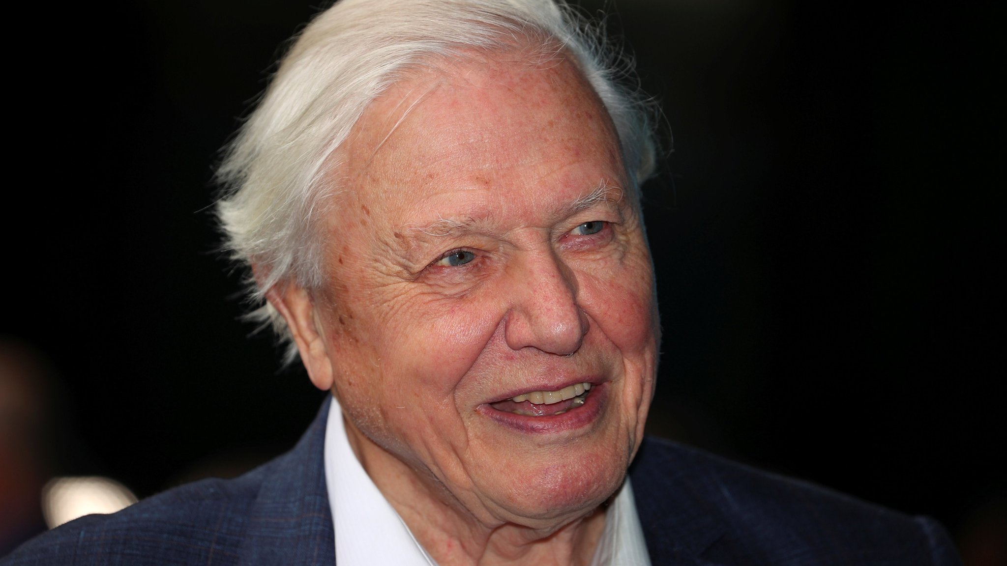 What's Sir David Attenborough's favourite animal from Blue Planet 2