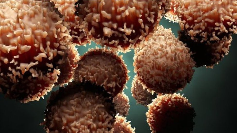 Tarjimada frantsuz porno U yumshoq porno