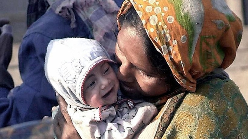 Katta etuk mushuklar Sevastopol seksual qizlar