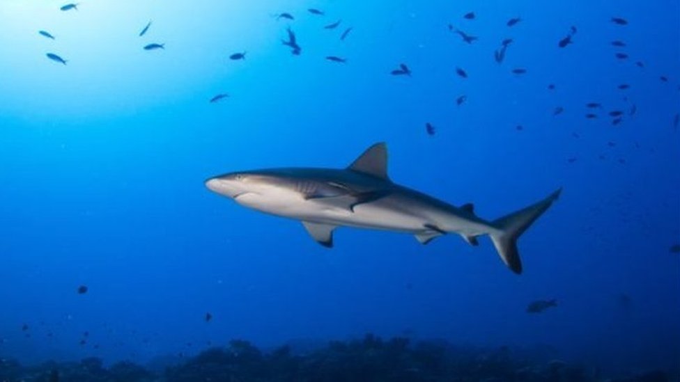 Moynali kiyimlardagi chaqaloq bilan porno tomosha qiling