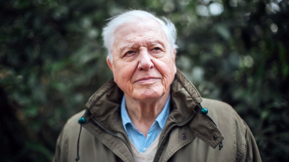 samvittighed Unødvendig mærke navn Sir David Attenborough is back with a new programme - CBBC Newsround