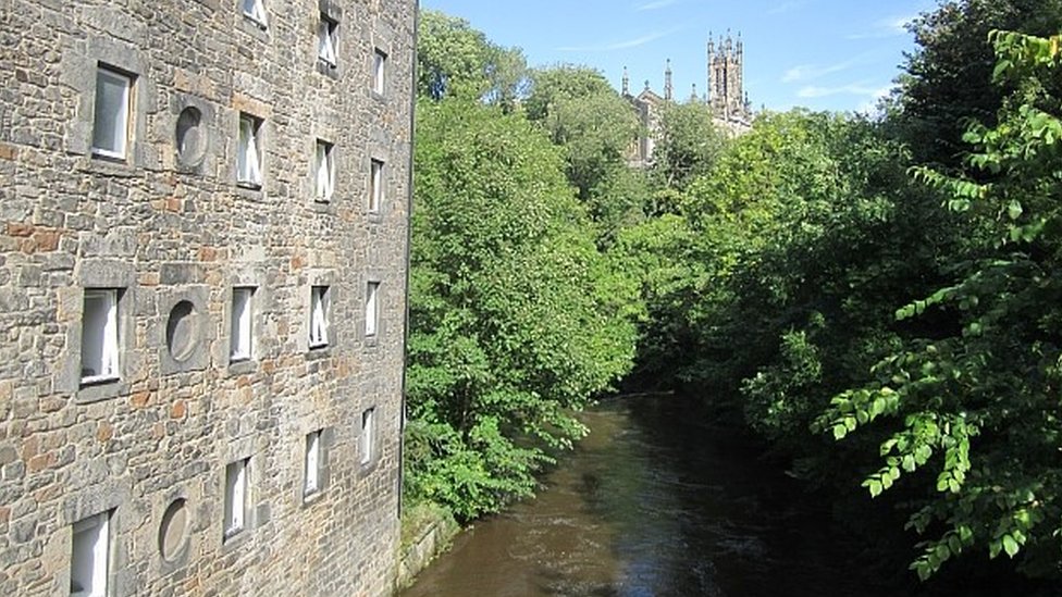Camper killed after tree falls on tent in Edinburgh