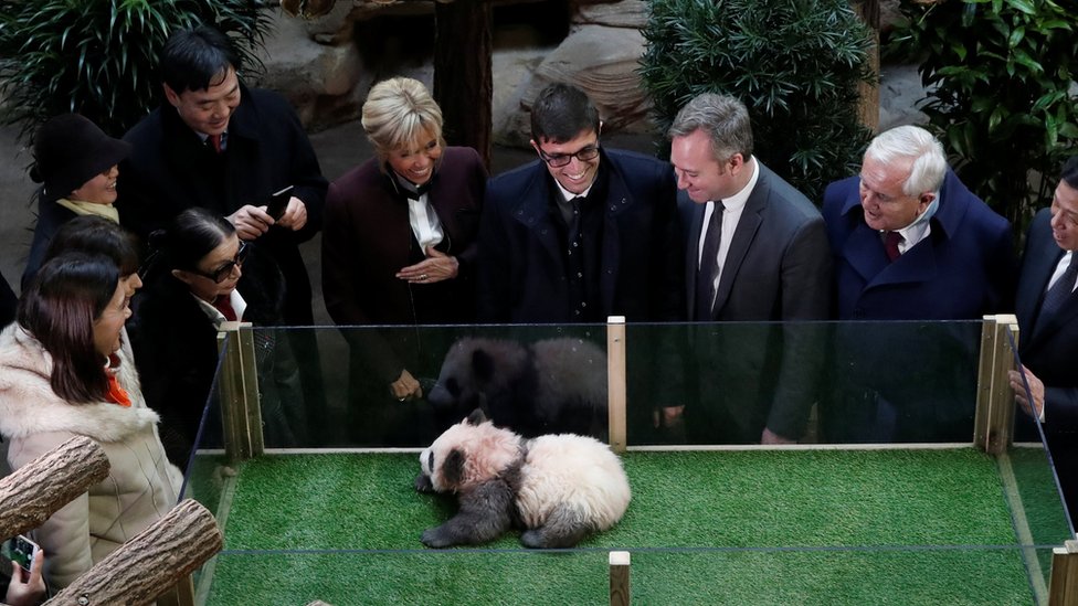 Panda, Cina, Prancis