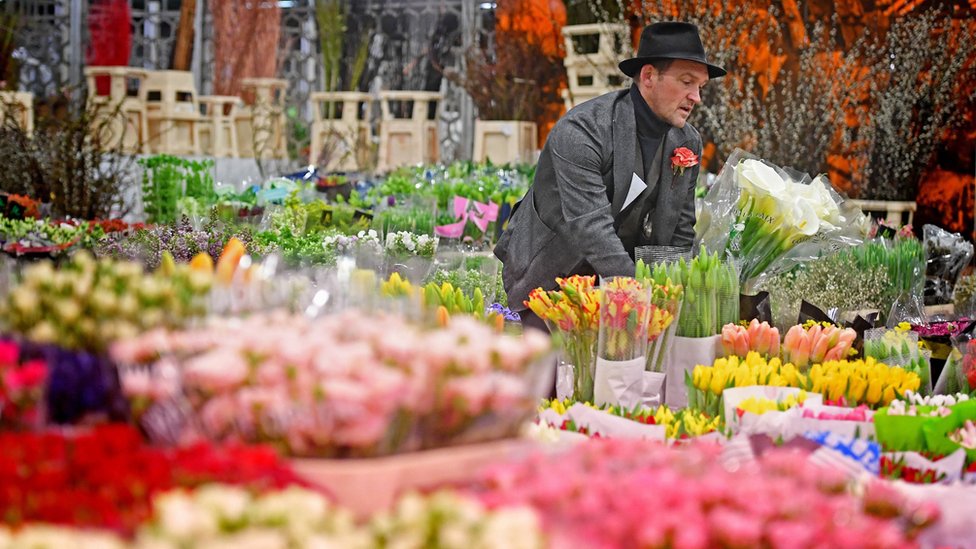 Flores