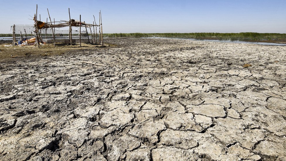 SÃ©cheresse: pourquoi les pÃ©nuries d'eau augmentent le risque de conflits -  BBC News Afrique