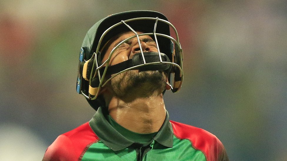 Katta kokrakli dumbalar Ular vaginadan spermani istemol qiladilar