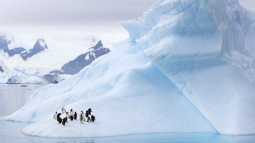 Антарктида (fb2)