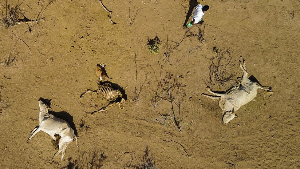 Bir kechalik munosabatlar uchun uchrashmoqchi