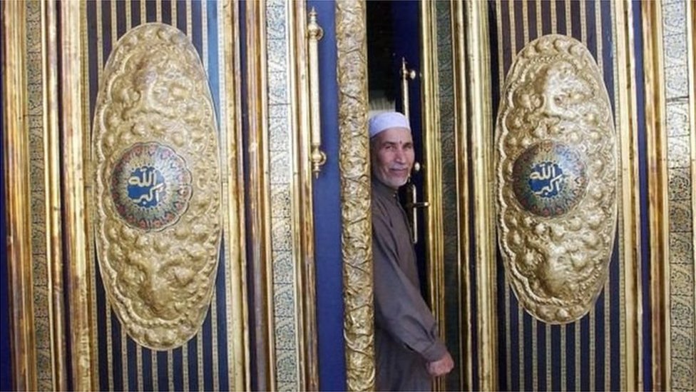 Voyaga etgan ayollar fotosuratlarining semiz eshaklari