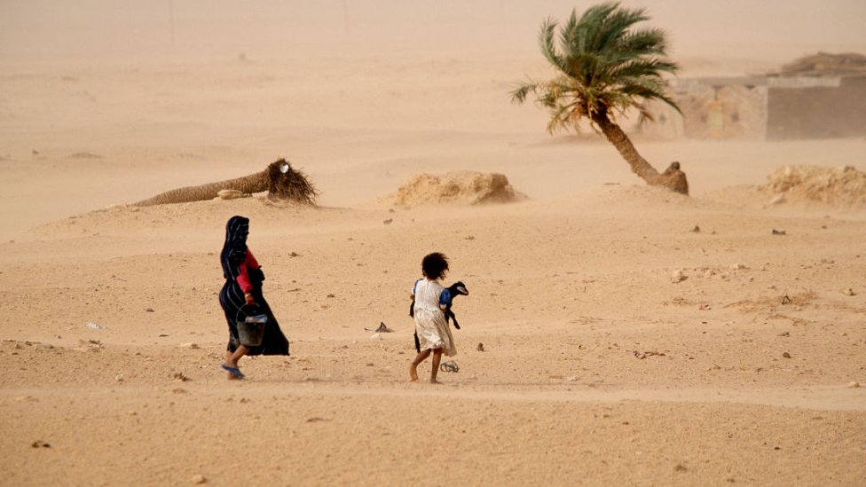Amsar Tambayoyinku Kan Hamadar Sahara Bbc News Hausa