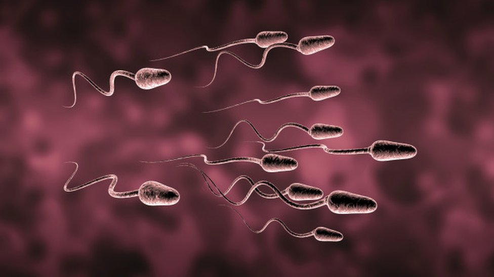 Ayollar uchun anal onanizm onlayn Chochqa jinsiy aloqa porno onlayn