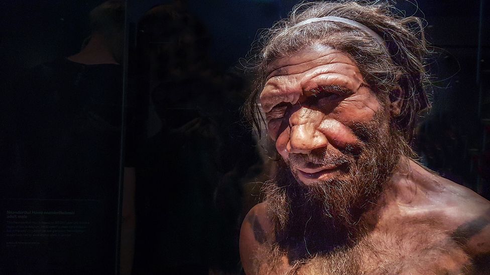 Humanos da Idade da Pedra tinham conhecimento médico avançado, diz estudo