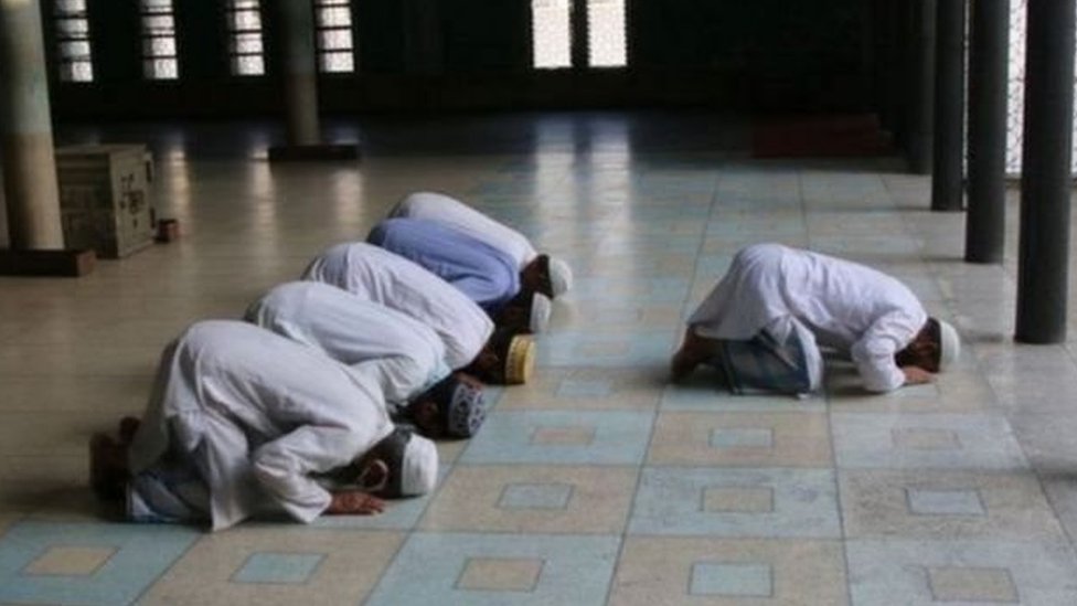 Voyaga etgan cuma qoplangan