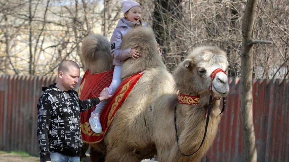 Ukrainian Odessa Zoo Reopens