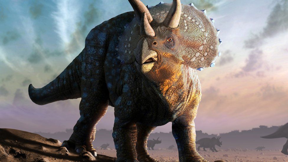 Los científicos que creen que los dinosaurios fueron víctimas de su propio  éxito (antes de que cayera un devastador meteorito) - BBC News Mundo
