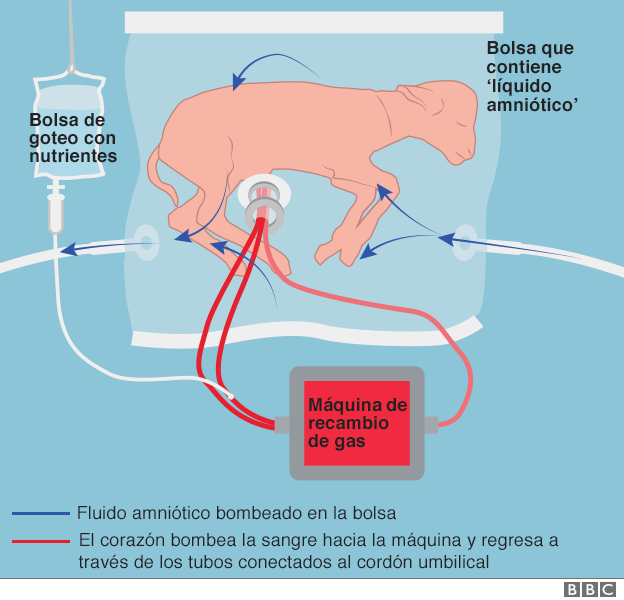Cómo funciona la bolsa