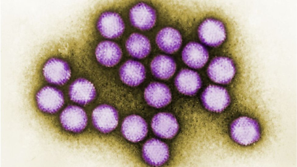 Influenza adalah contoh penyakit yang masuk melalui saluran