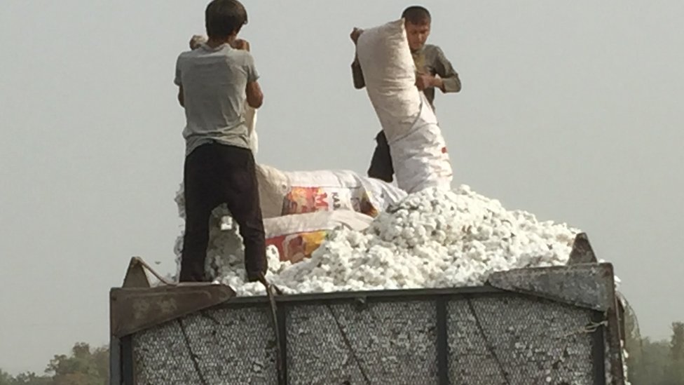 Lesozavodsk, Primorskiyda jinsiy aloqa