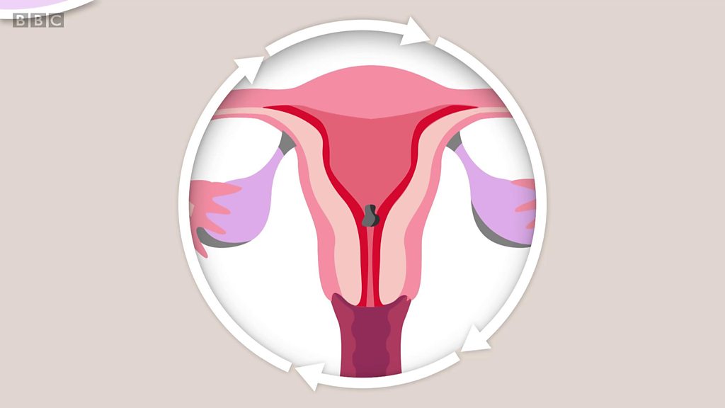 O que esperar do primeiro ano de menstruação? - BBC News Brasil