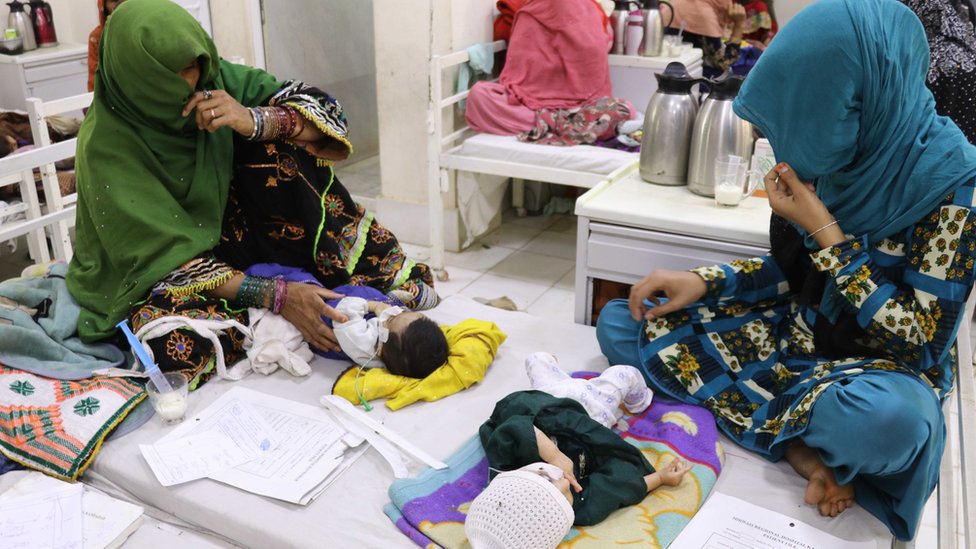 Pul uchun rus porno tomosha