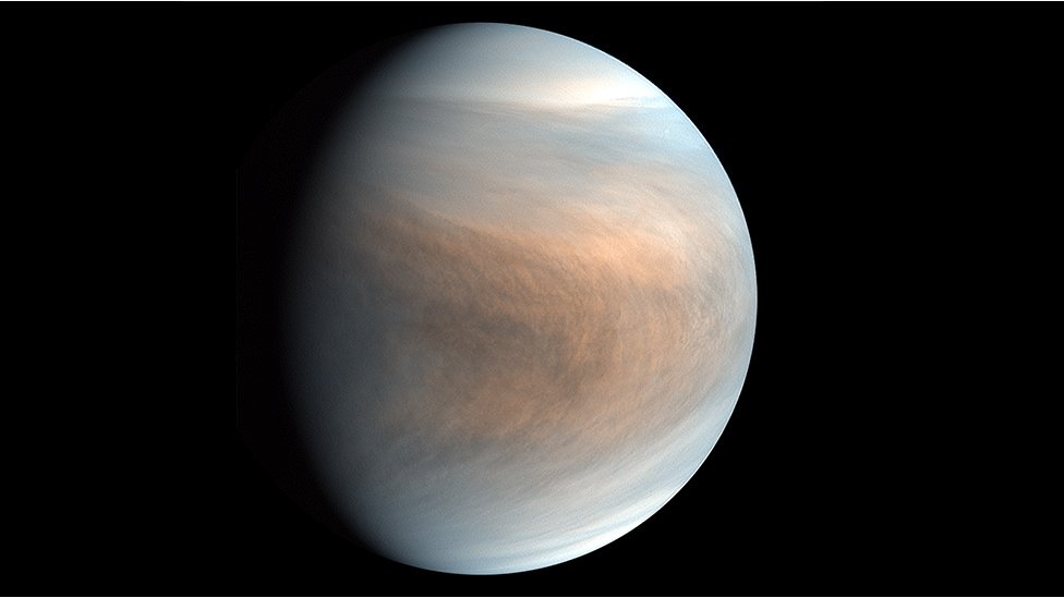 Vida Venus: el hallazgo que que puede haber vida - BBC News Mundo