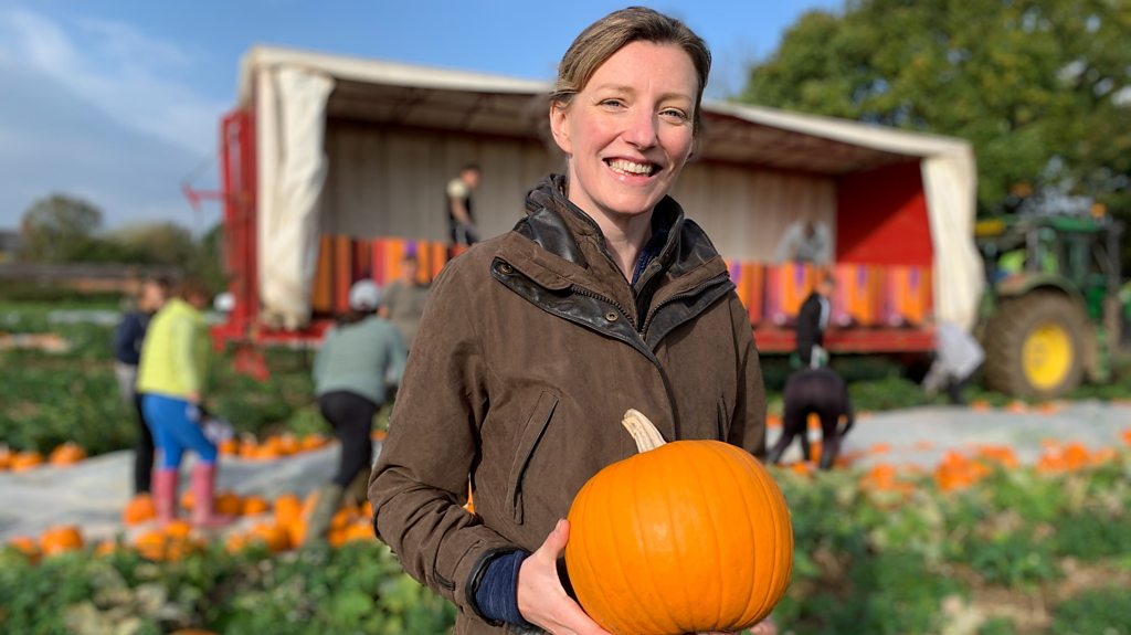 It's been a scary season for pumpkin farmers