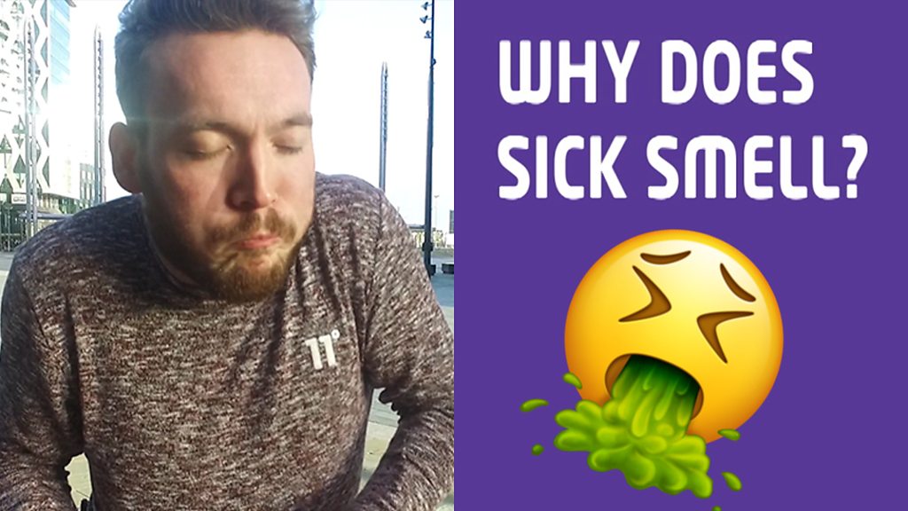 The Big Question Why does sick smell? CBBC Newsround