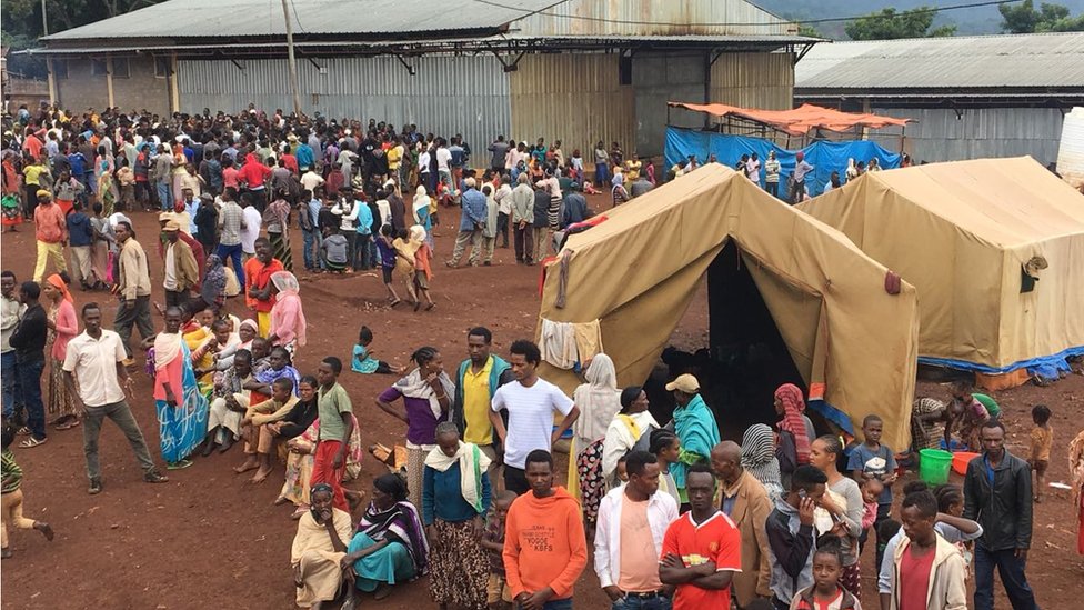 Kokrak chozish porno Yetuk ayolning ichidagi cum, bumblebee ichidagi konfet, rus transseksuallari onlayn tomosha qilish