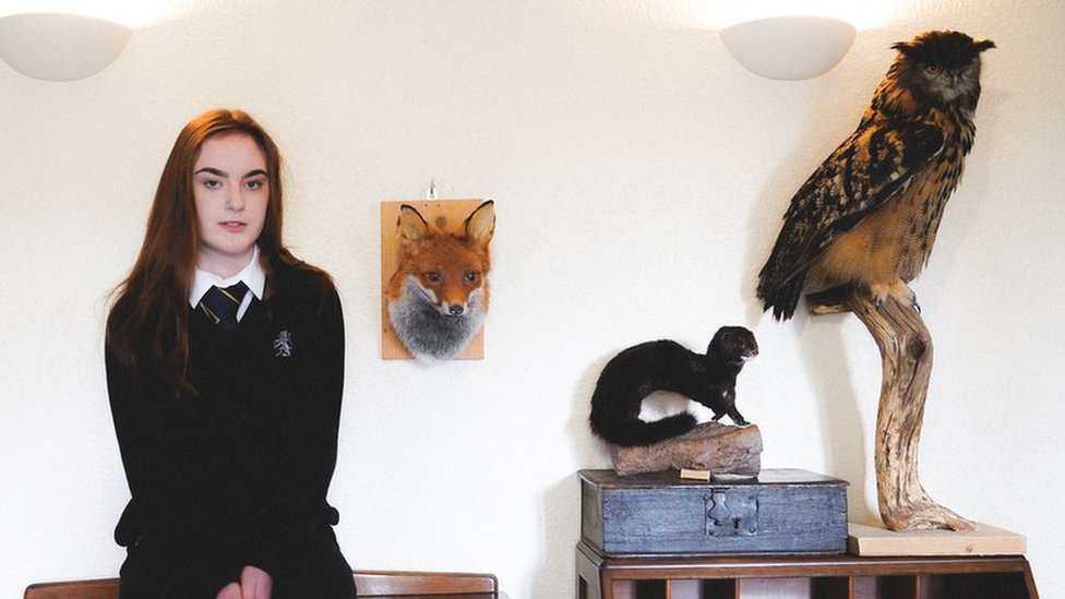 Meet Sydney - the teenage taxidermist