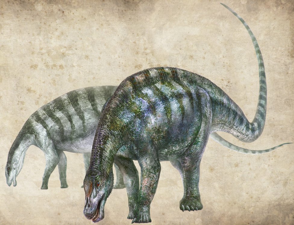 最古の巨大恐竜を新発見、進化や超大陸の新説浮上 中国 - BBC