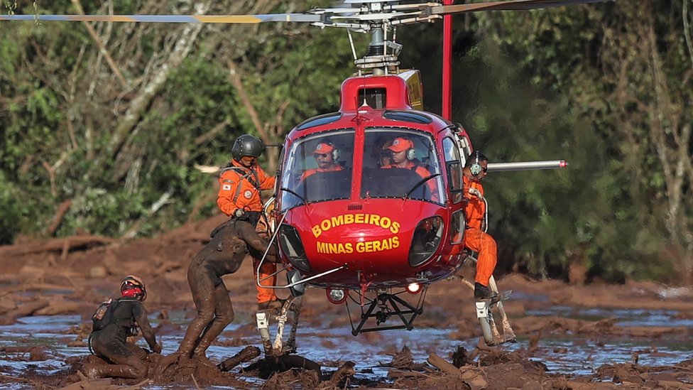 Animais afetados pelo desastre em Brumadinho ganham ensaio de Natal -  Gerais - Estado de Minas