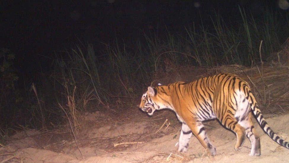 उत तर ख ड क त द आ म नव स घर ष इतन ख तरन क क य ह आ ह Bbc News ह द