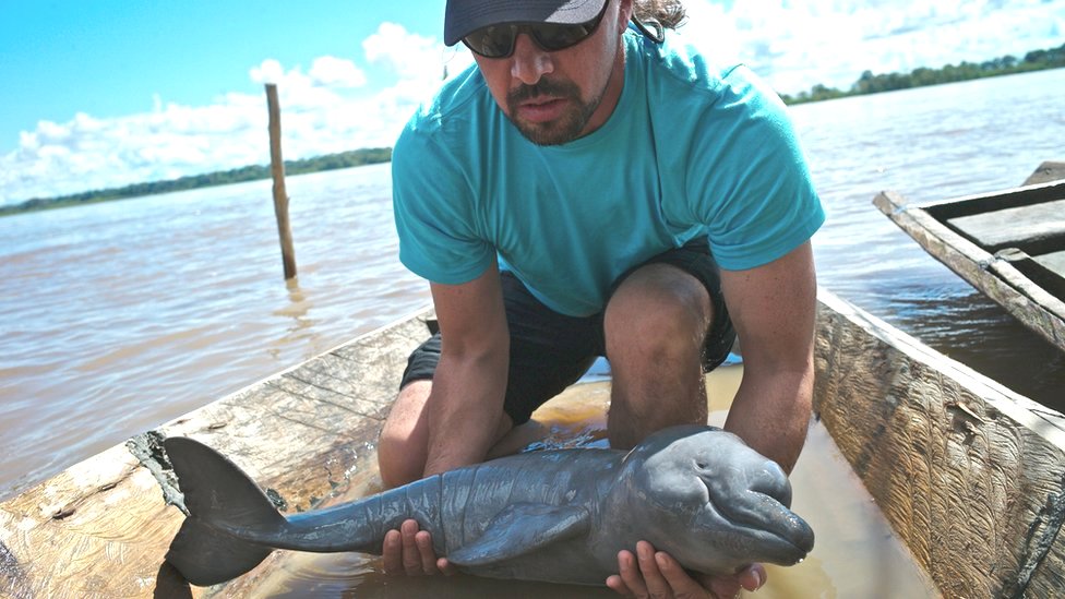 Fernando Trujillo en un bote con un delfín bebé en sus manos Foto: Fundación Omacha