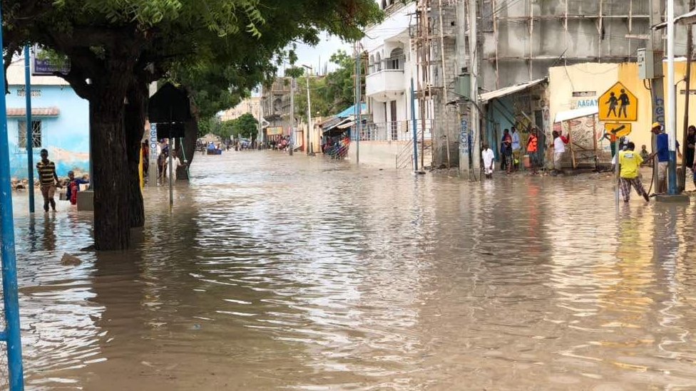 Velma bilan porno Mushuk va kokrak fotosuratlari