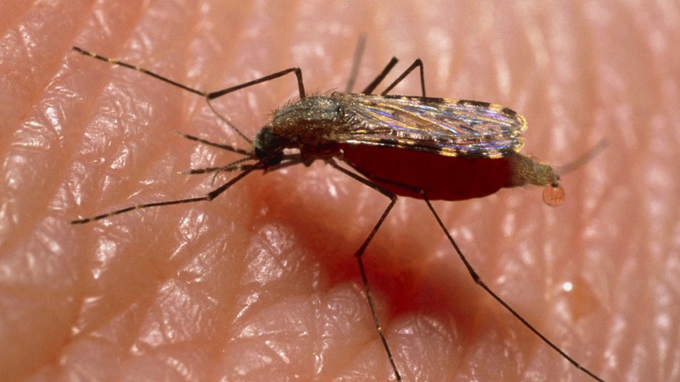 Video stol ostida zerikarli