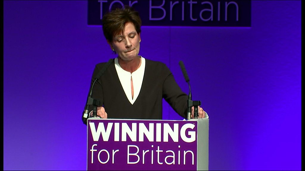 What will happen to UKIP under Diane James?