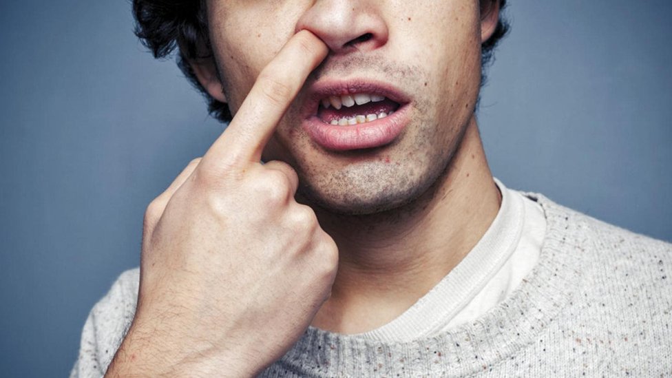 Veb-sayt Edvard Qollar jinsiy olatni Online