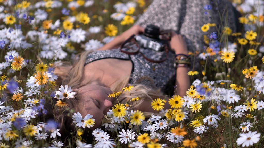 Spectacular super bloom transforms South African desert