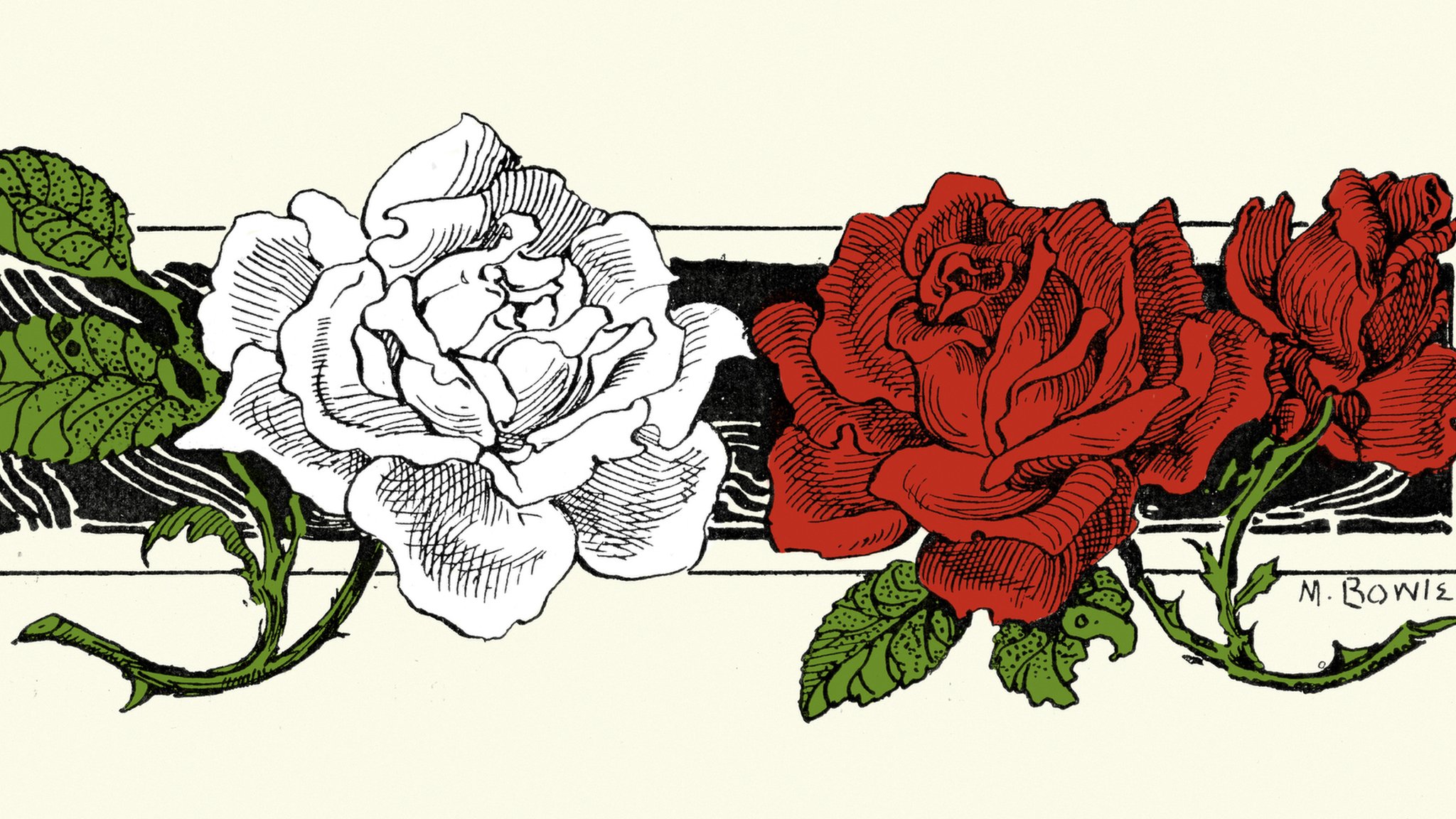 Война красной и белой розы иллюстрации