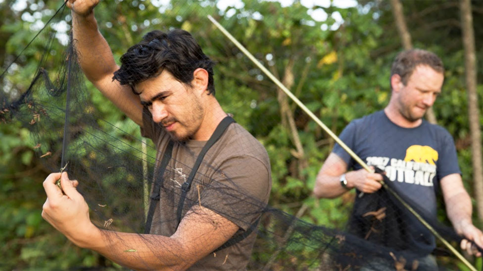 Alejandro Rico-Guevara extendiendo una malla para capturar colibríes en la selva